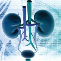 Oddział Urologiczny Szpitala Klinicznego Nr 1 w Zabrzu