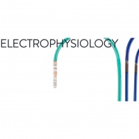 Akademia Elektrofizjologii
