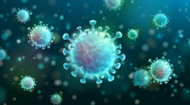 Europejska Konferencja Naukowo-szkoleniowa "Trzy lata pandemii SARS-CoV- 2 (...)"