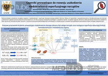 Czynniki prowadzące do rozwoju uszkodzenia niedokrwienno-reperfuzyjnego narządów