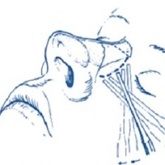 I kurs chirurgii plastycznej nosa cadaver workshop Podstawy anatomiczne funkcjonalnej plastyki nosa 