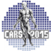Computer Assisted Radiology and Surgery 29th International Congress
