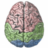 The 2016 Alzheimer's Disease Congress