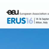 13th Meeting of the EAU Robotic Urology Section