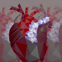 XXXI Ogólnopolska Studencka Konferencja Kardiologiczna