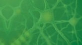 „Postępy Neuroimmunologii Klinicznej – Stwardnienie Rozsiane”