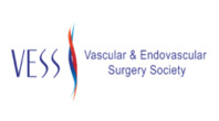 Annual Winter Meeting of the Vascular & Endovascular Surgery Society (VESS) 2026