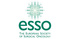 ESO-ESSO-ESTRO-ESP Multidisciplinary Course on Oncology for Medical Students