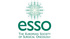 ESSO: Ultrasound in Breast Cancer Surgery