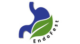 Endofest 2026