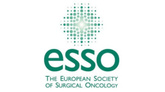 ESSO: Video-Based Workshop on Cytoreductive Surgery