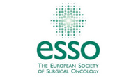ESSO: Video-Based Workshop on Cytoreductive Surgery