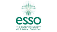 ESSO: Surgical Anatomy Course on Pancreatic Cancer