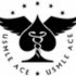 USMLE ACE INC