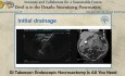 Gastroenterologia przejmuje przypadek - endoskopowa nekrosektomia to wszystko, czego potrzebujesz