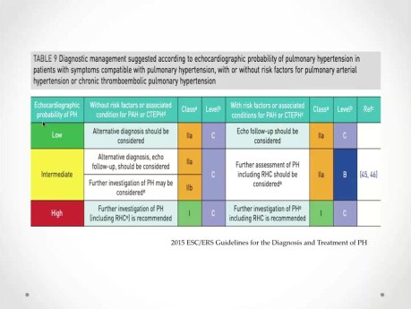 Echokardiografia w nadciśnieniu płucnym: przegląd praktyczny