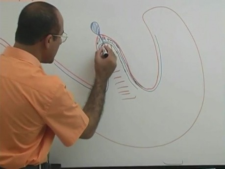 Interpretacja EKG 9/20 - fizjologia serca - USMLE Step 1