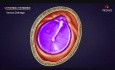 Budowa anatomiczna błony bębenkowej