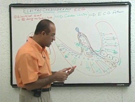 Interpretacja EKG 10/20 - fizjologia serca - USMLE Step 1