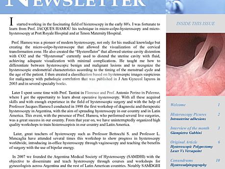 Histeroskopia-Newsletter 2.5