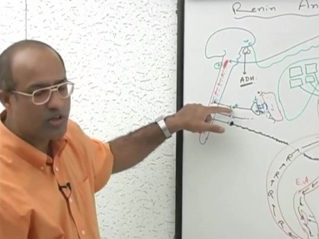 Oś renina-angiotensyna-aldosteron 6/7 - fizjologia - USMLE Step 1