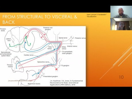 Visceral communication in clinical practice