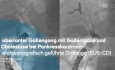 Abberanter Gallengang mit Cholestase