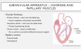 Mind the Gap - Mitral Valve Prolapse (MVP) and Mitral Annular Disjunction (MAD)