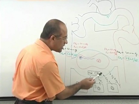 Transport CO2 3/6 - fizjologia oddychania - USMLE Step 1