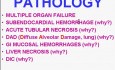 Zaburzenia hemodynamiczne, choroba zakrzepowo-zatorowa i wstrząsy - patomorfologia - część 4k