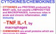 Choroby układu immunologicznego - patomorfologia - część 6c