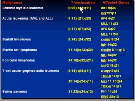 Neoplazja - patomorfologia - część 7k