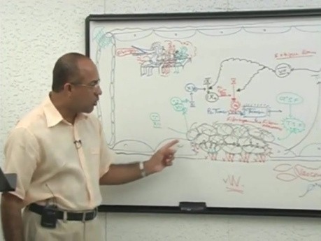 Zakrzep - kaskada krzepnięcia 12/12 - fizjologia - USMLE Step 1