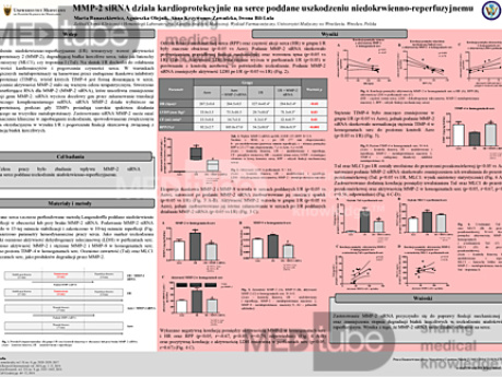 MMP-2 siRNA działa kardioprotekcyjnie na serce poddane uszkodzeniu niedokrwienno-reperfuzyjnemu