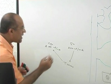 Transport CO2 1/6 - fizjologia oddychania - USMLE Step 1