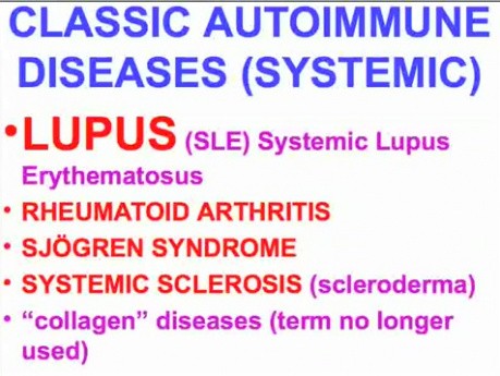 Choroby układu immunologicznego - patomorfologia - część 6e