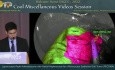Laparoscopic Right Adrenalectomy with Partial Nephrectomy for a Perivascular Epithelioid Cell