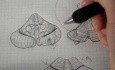 Móżdżek - neuroanatomia - samouczek - 18