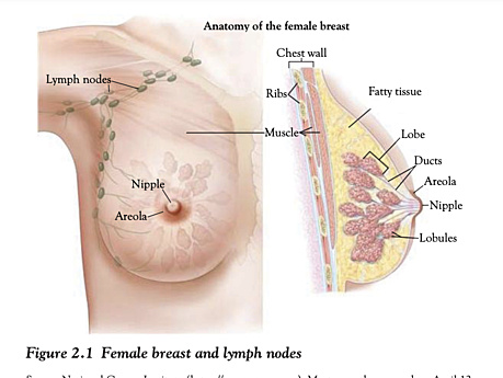 Rak piersi - postępowanie, powikłania leczenia, terapia uzupełniająca