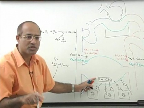 Transport CO2 2/6 - fizjologia oddychania - USMLE Step 1