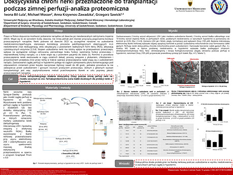 Doksycyklina chroni nerki przeznaczone do transplantacji podczas zimnej perfuzji – analiza proteomiczna