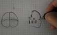 Homunculus - neuroanatomia - samouczek - 16