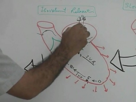 Cykl pracy serca 4/8 - fizjologia serca - USMLE Step 1