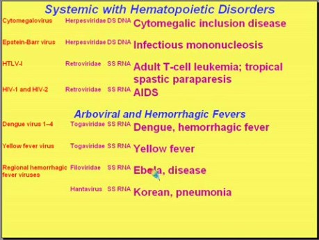 Choroby zakaźne - patomorfologia - część 8c