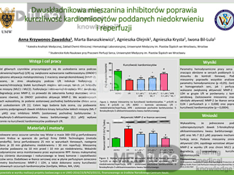 Dwuskładnikowa mieszanina inhibitorów poprawia kurczliwość kardiomiocytów poddanych niedokrwieniu i reperfuzji