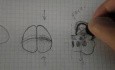 Móżdżek - neuroanatomia - samouczek - 17