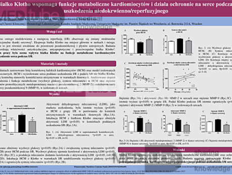 Białko Klotho wspomaga funkcje metaboliczne kardiomiocytów i działa ochronnie na serce podczas uszkodzenia niedokrwienno/reperfuzyjnego