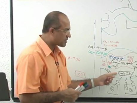 Transport CO2 4/6 - fizjologia oddychania - USMLE Step 1