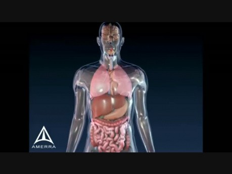 Astma- medyczna animacja 3D