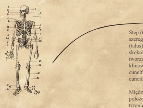 Zaproszenie - Foot & Ankle Current Concepts